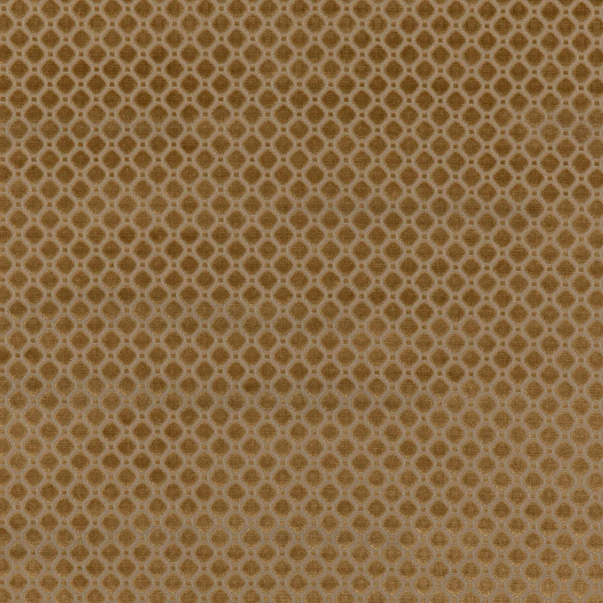 GP & J Baker Indus Velvet Bronze Fabric 1 10121-gp-j-baker-indus-velvet-bronze-fabric-1.webp