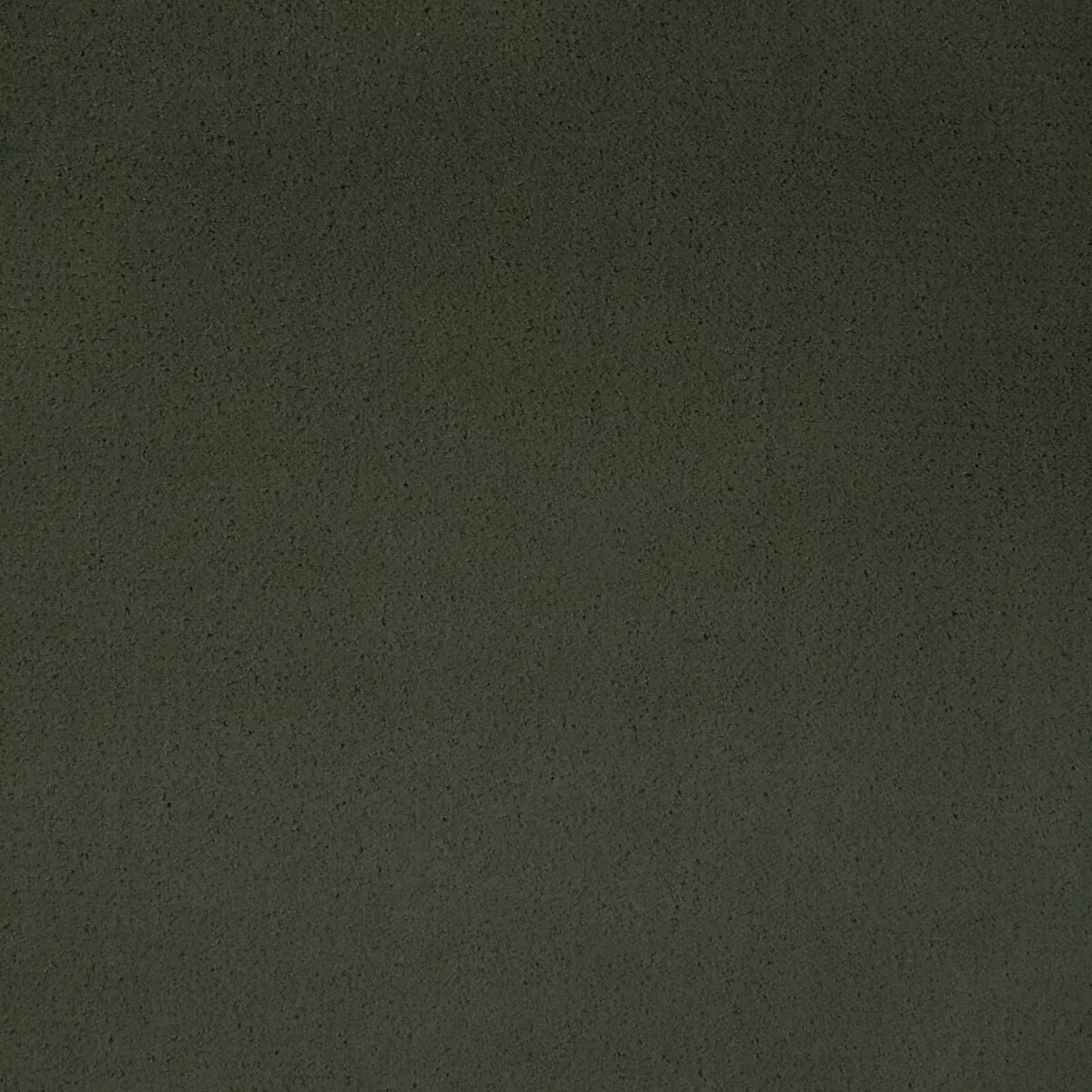 10262-kravet-fomo-loden-fabric-1.webp