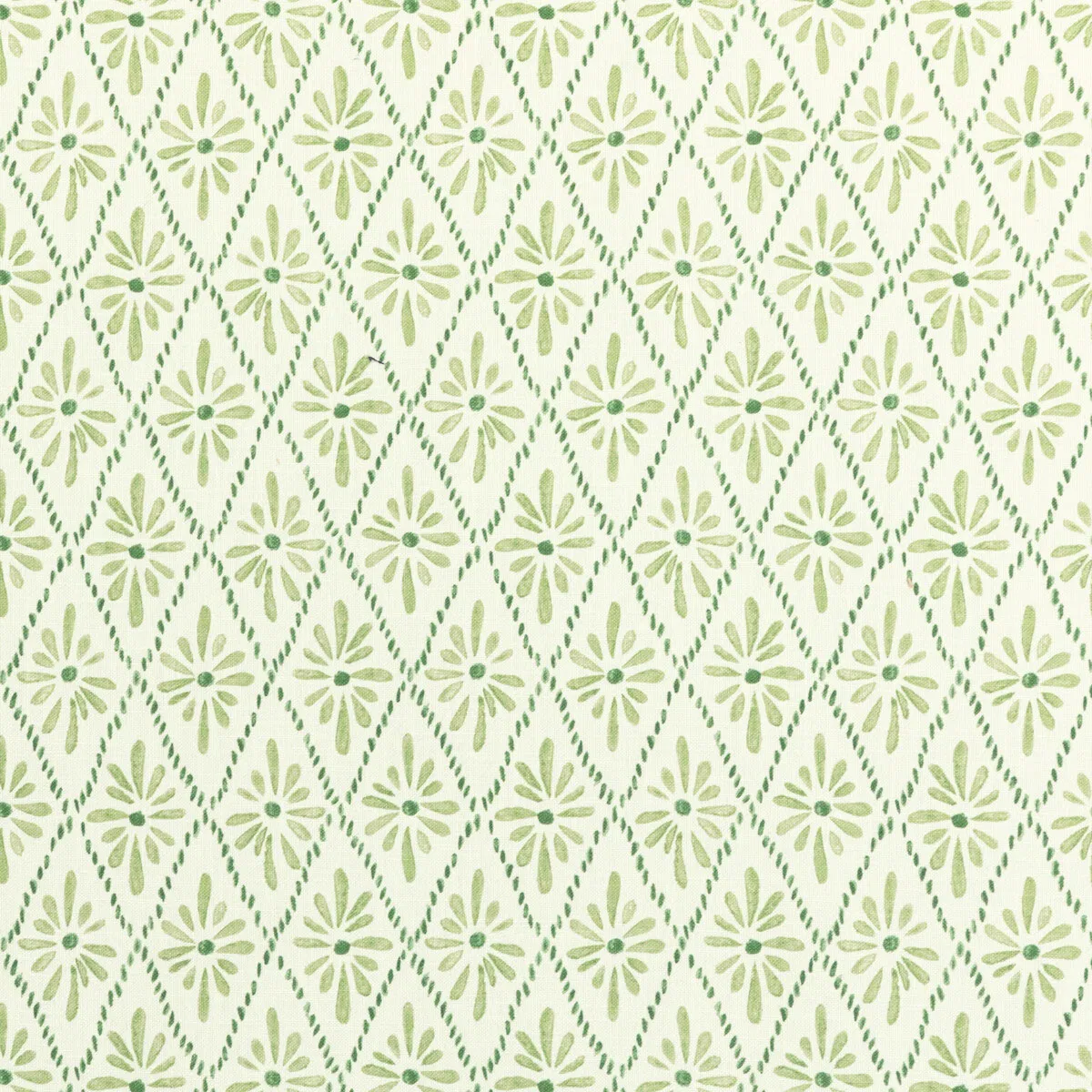 Kravet Malina Grass Fabric