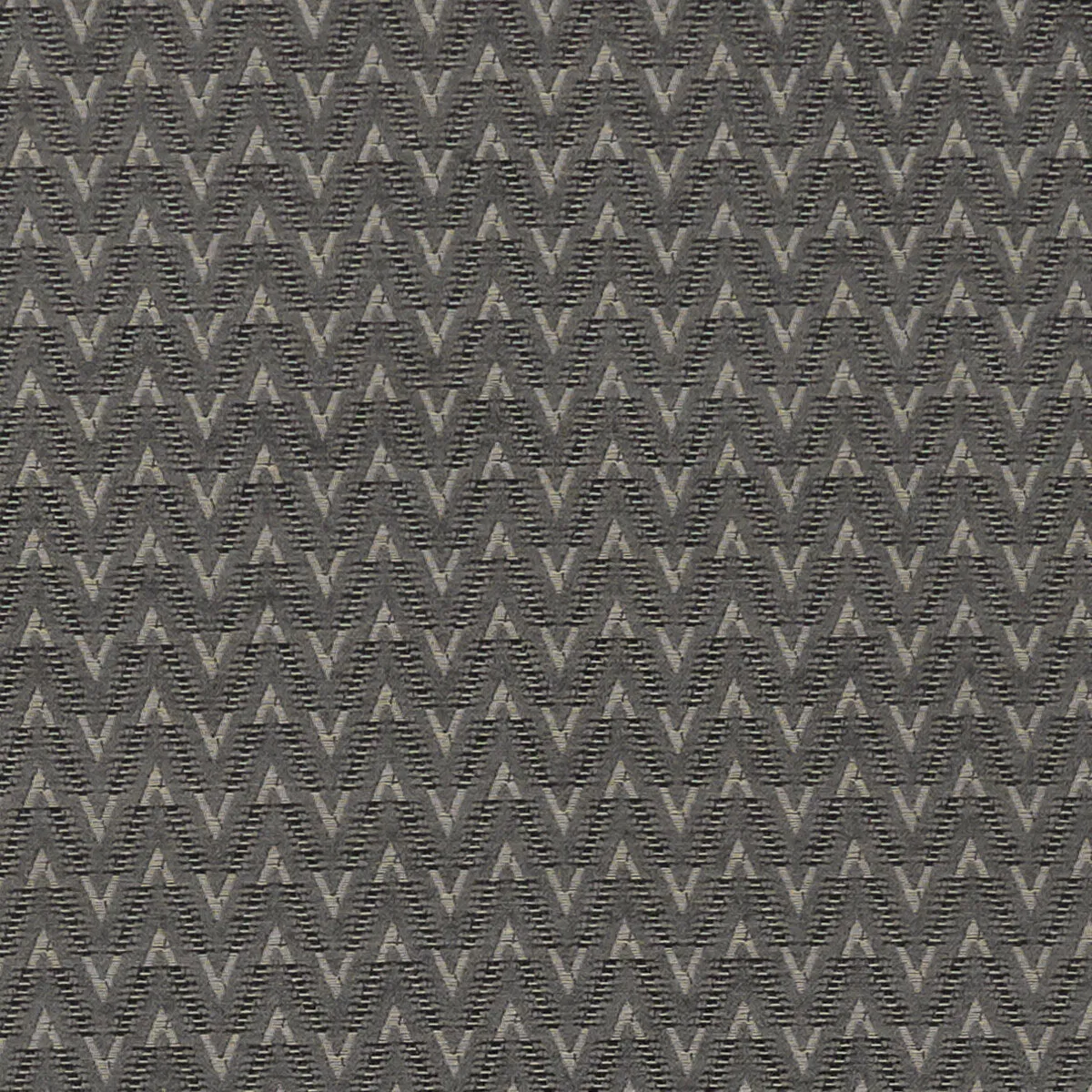 Clarke & Clarke Zion Charcoal Fabric