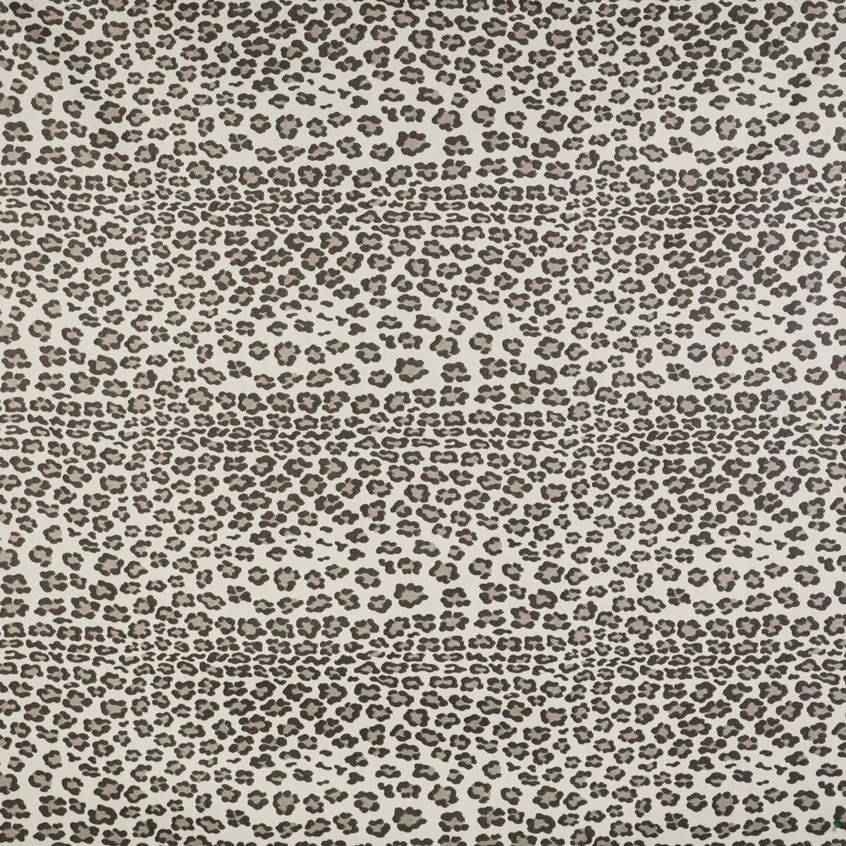 GastÃ³n y Daniela Leopardo Marron Fabric