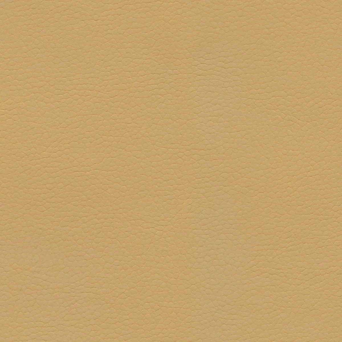 UltrafabricsÂ® Coast Bungalow Fabric