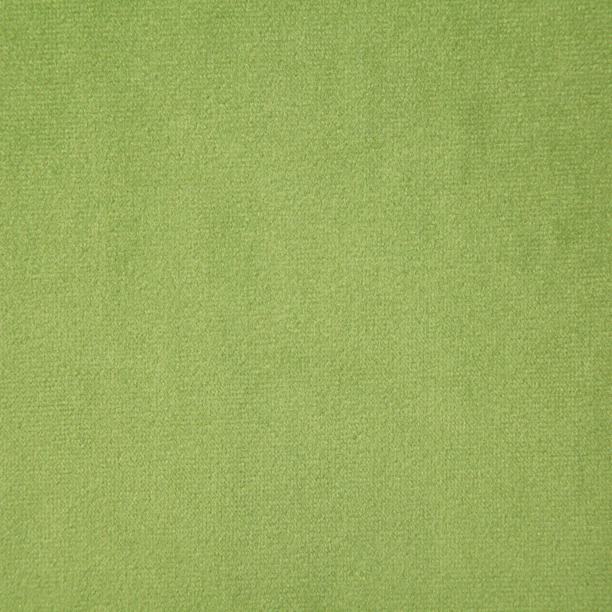 Pindler & Pindler Voltaire Citrus Fabric