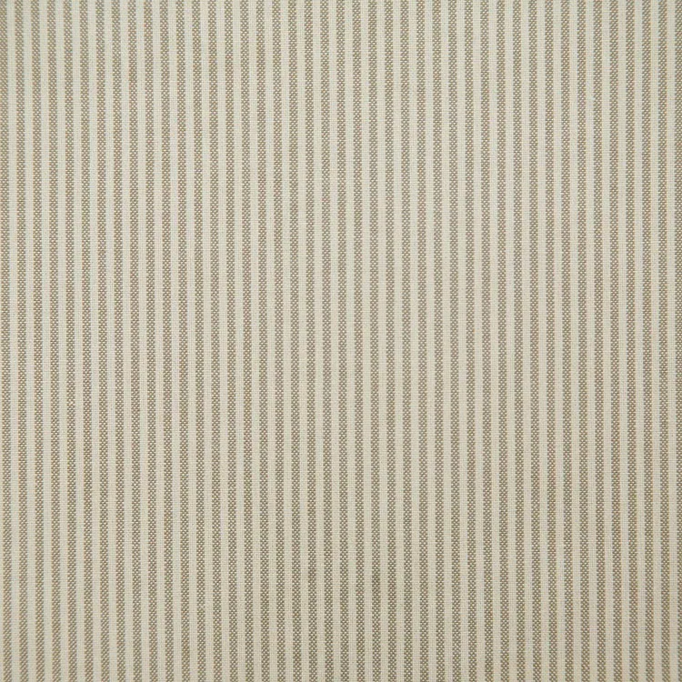 Pindler & Pindler Bentley Birch Fabric