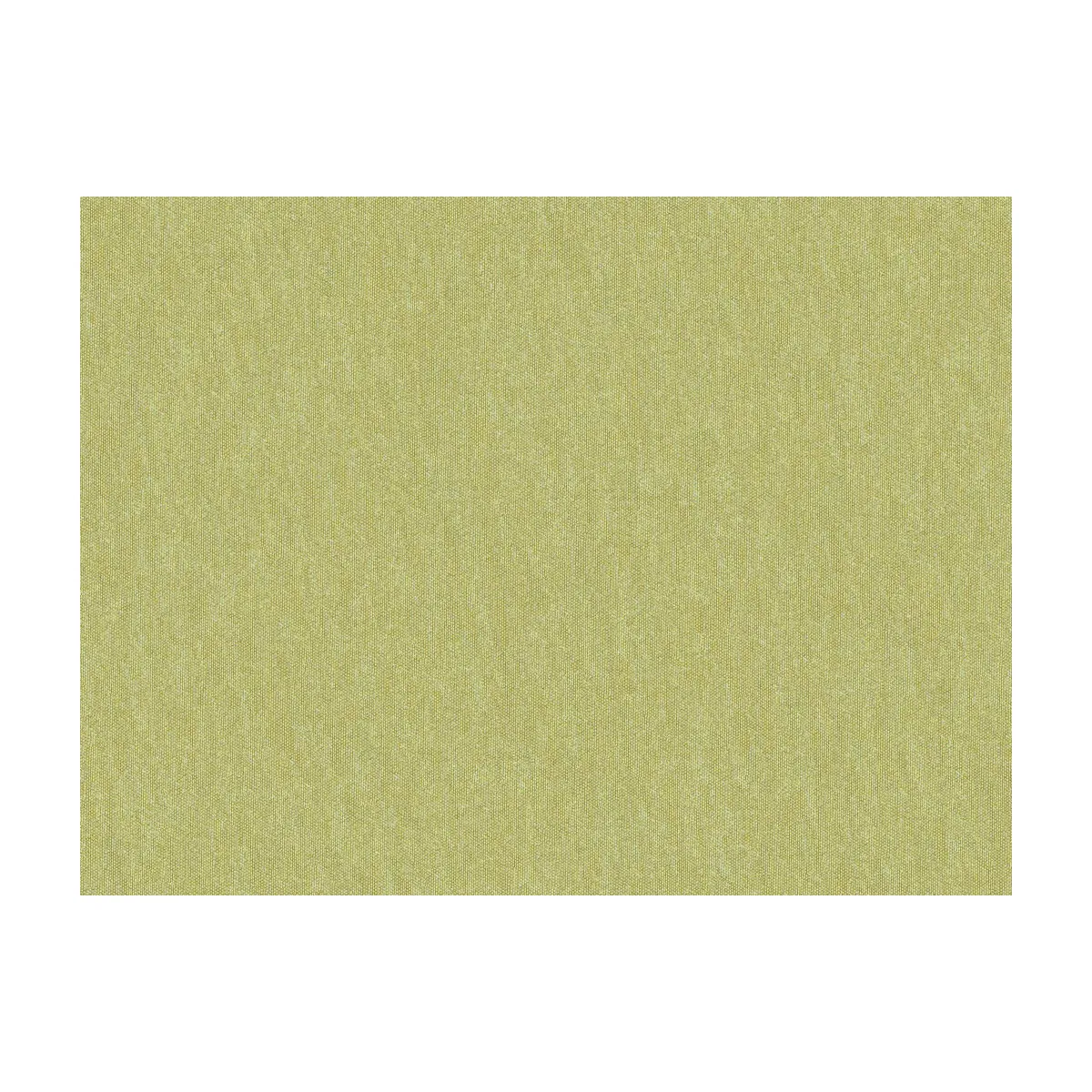 Brunschwig & Fils Shots Thyme Fabric