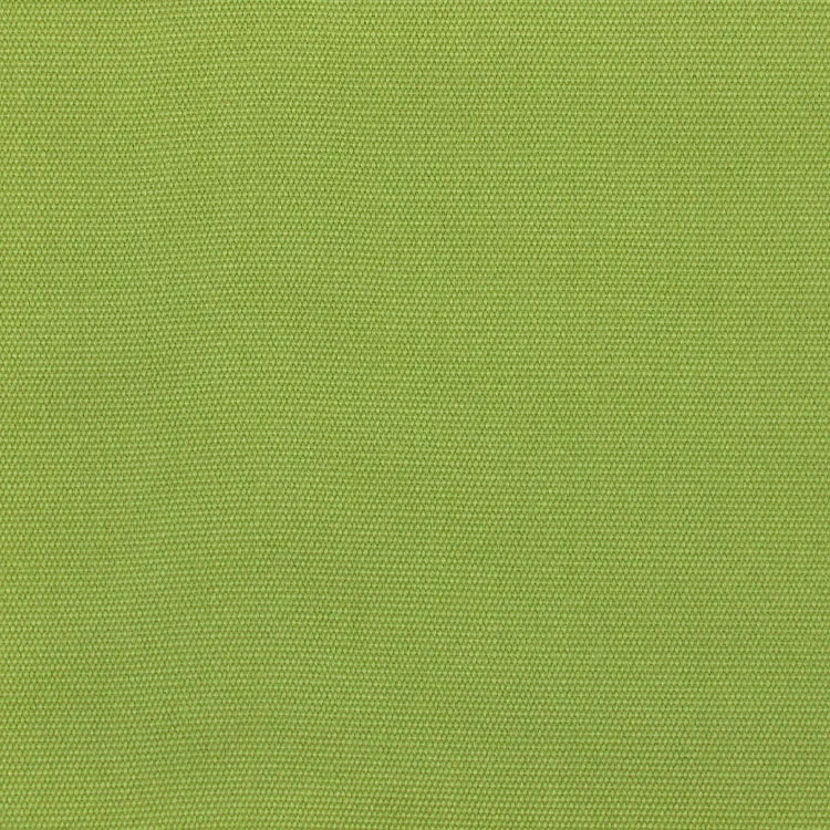 Sunbrella Canvas Ginkgo Fabric