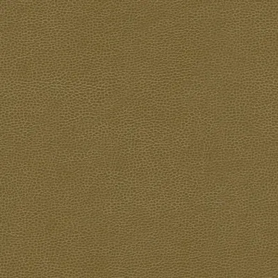 Kravet GILLIAN.606 Fabric