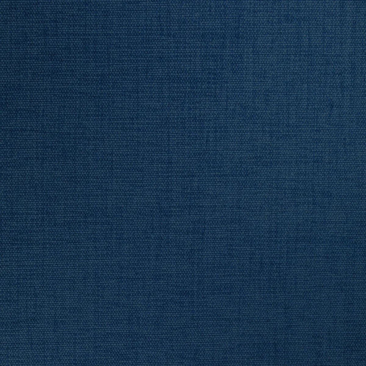 Kravet Smart 34959-5555 Fabric