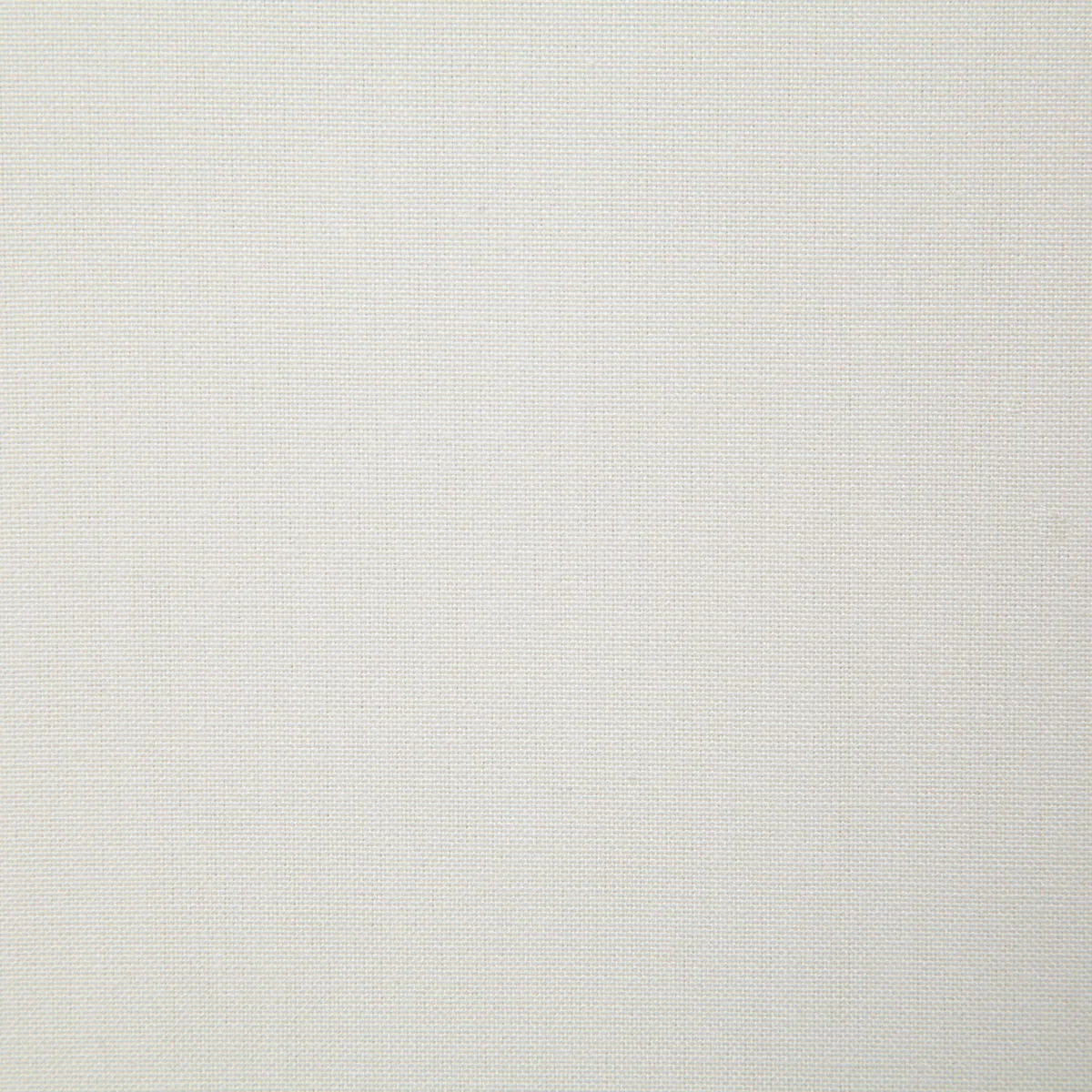 Pindler & Pindler Rushton Parchment Fabric