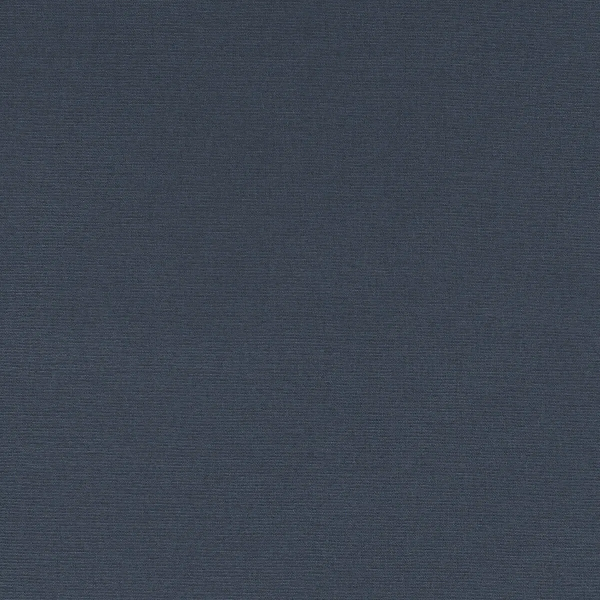 Clarke & Clarke Alora Ink Fabric