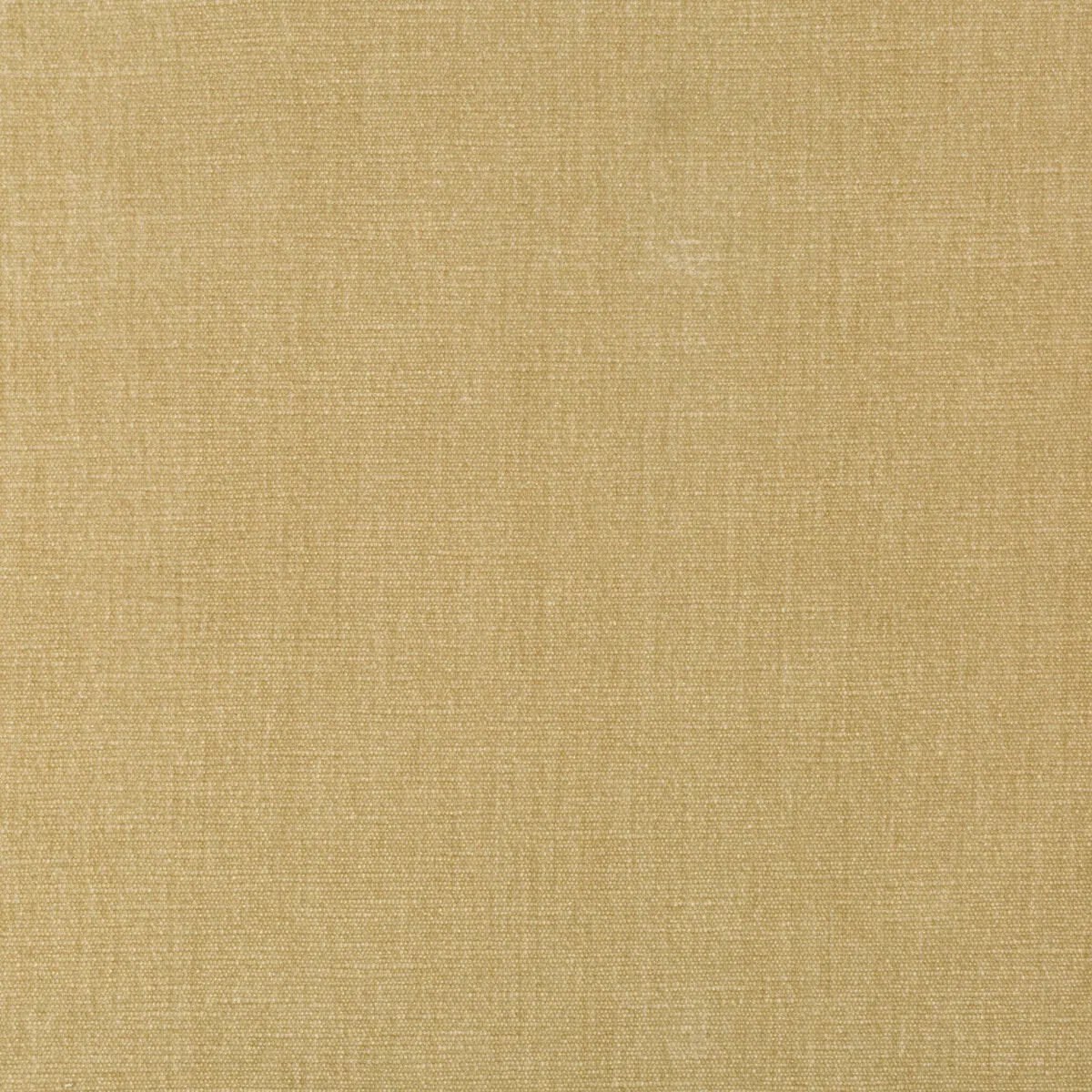 Kravet Smart 36076-161 Fabric