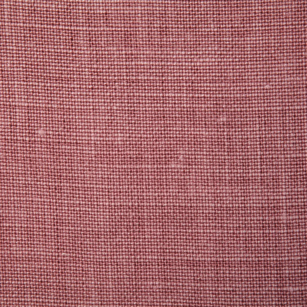 Pindler & Pindler Fabienne Rose Fabric 1 10973-pindler-pindler-fabienne-rose-fabric-1.webp