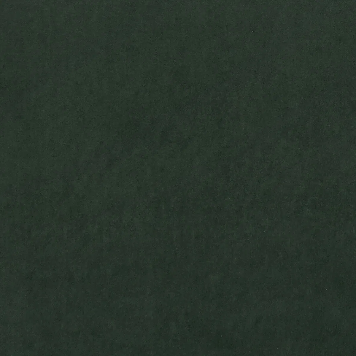 Clarke & Clarke Alvar Forest Fabric