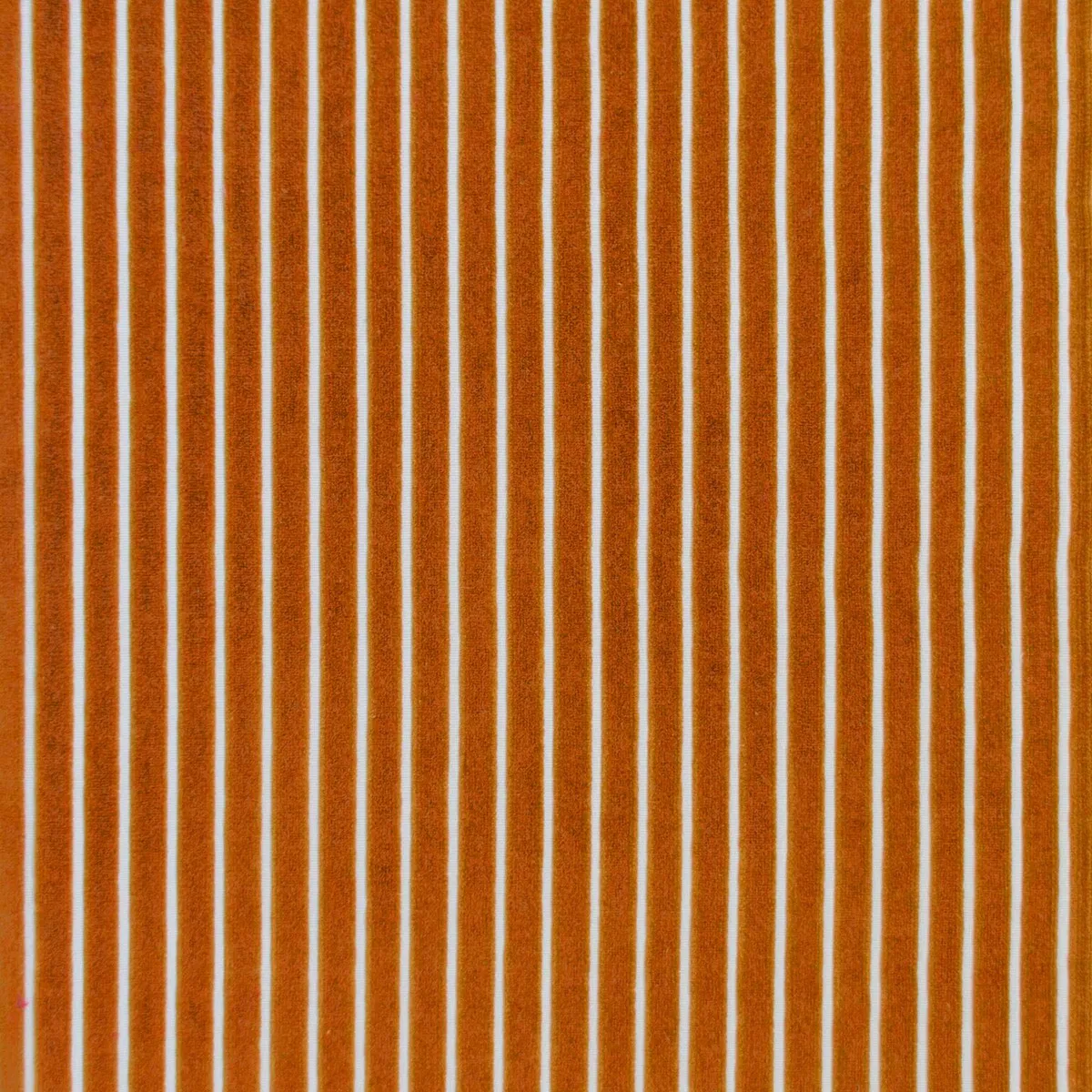 11053-gast-n-y-daniela-mayrit-calabaza-fabric-1.webp