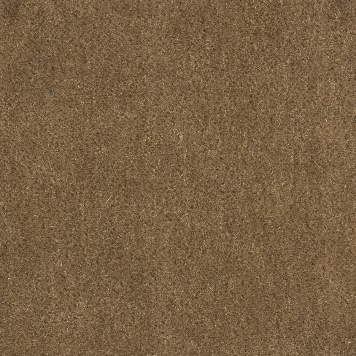 Brunschwig & Fils Bachelor Mohair Mushroom Fabric