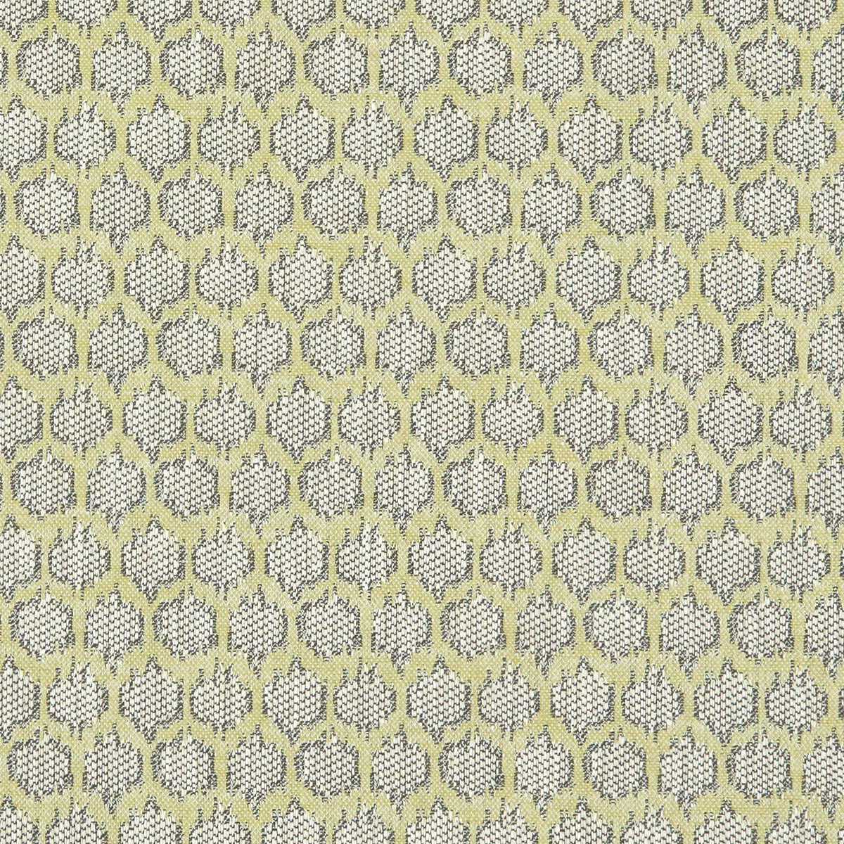 Clarke & Clarke Dorset Citron Fabric