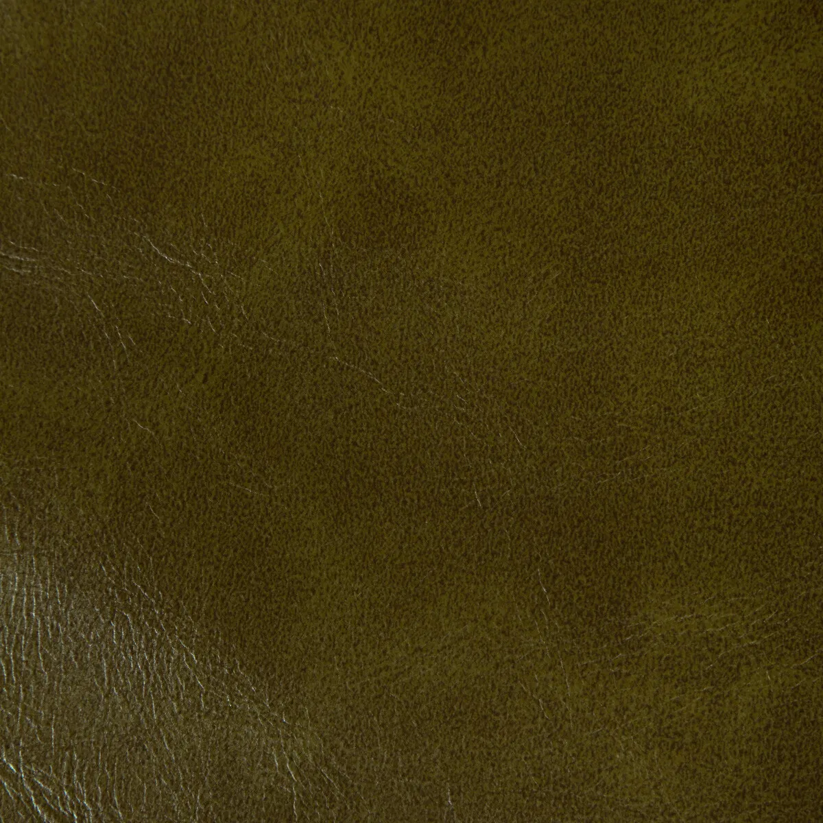 Kravet Rambler Olive Branch Fabric 1 11277-kravet-rambler-olive-branch-fabric-1.webp