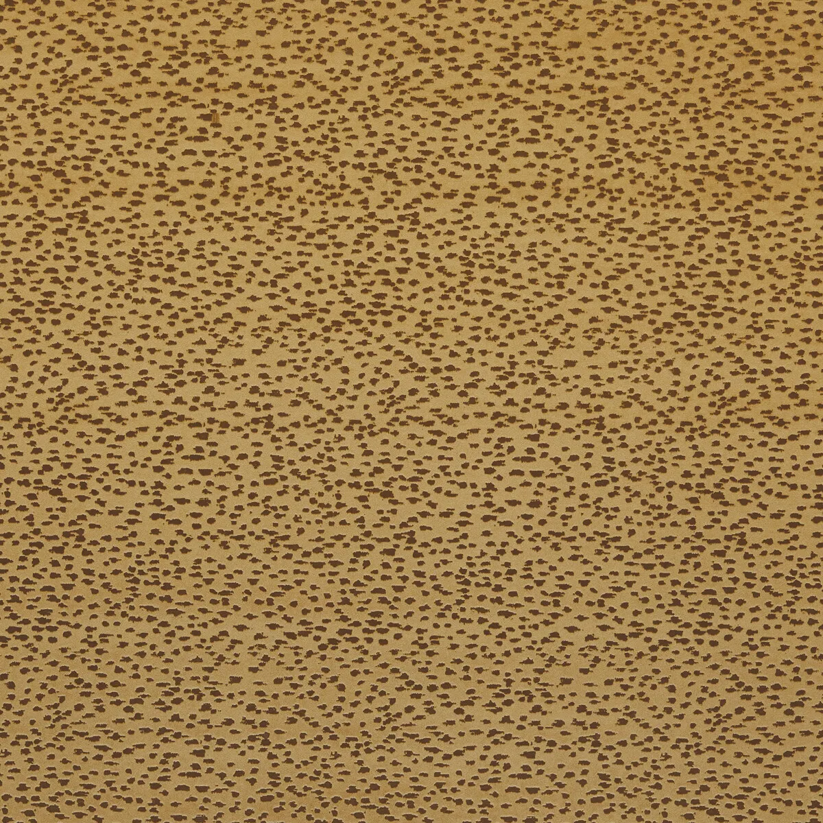 Clarke & Clarke Astral Gold Fabric 1 11296-clarke-clarke-astral-gold-fabric-1.webp