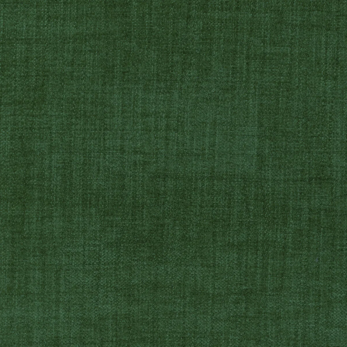 Kravet Accommodate Sage Fabric