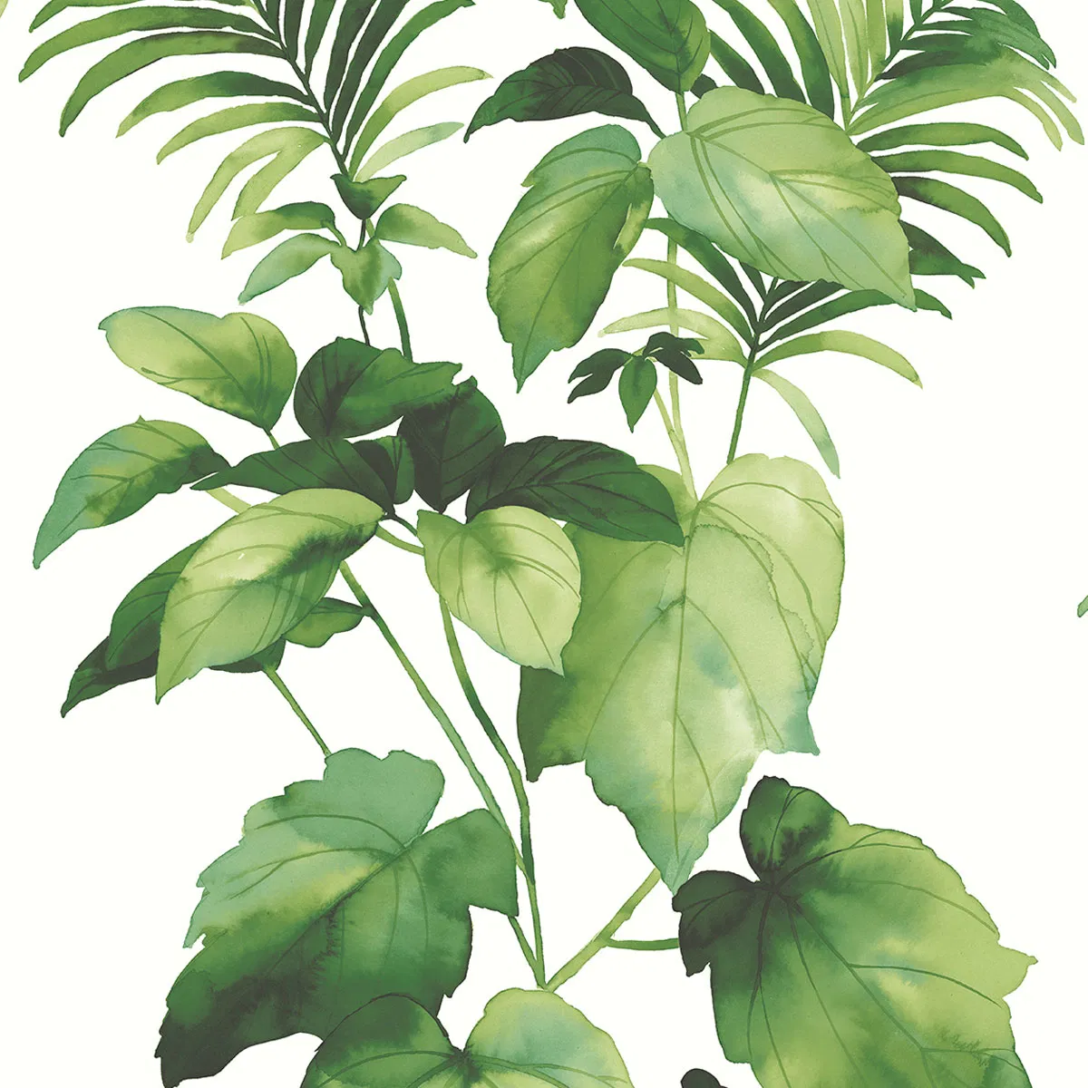 11340-harry-grace-peel-stick-leaf-stripe-summer-fern-wallpaper-1.webp