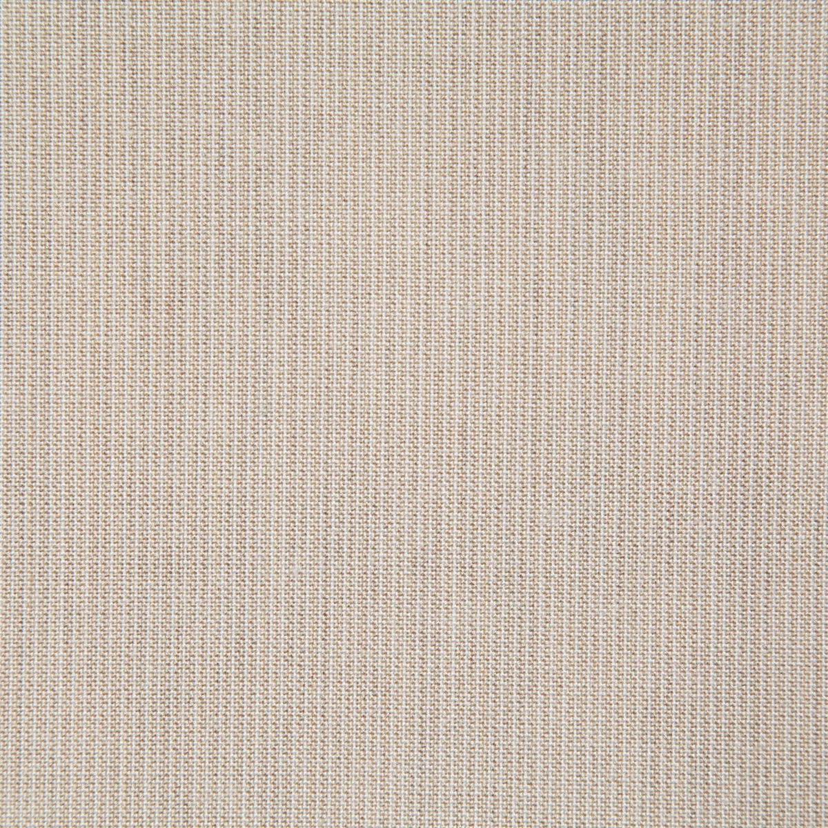 11398-pindler-pindler-rockwell-shell-fabric-1.webp