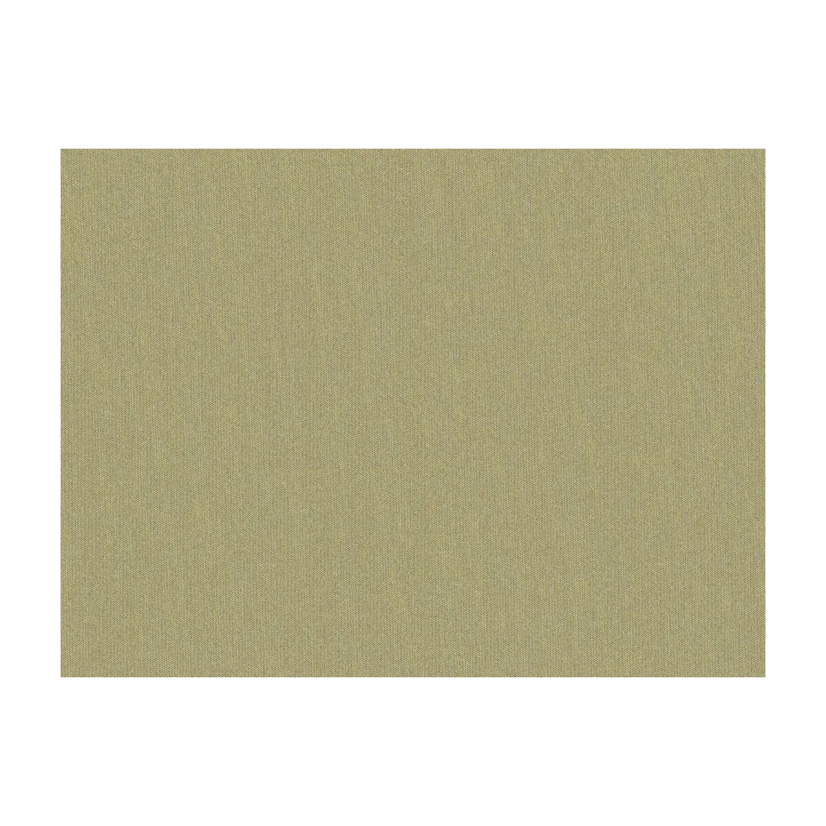 11531-brunschwig-fils-shots-greige-dore-fabric-1.webp