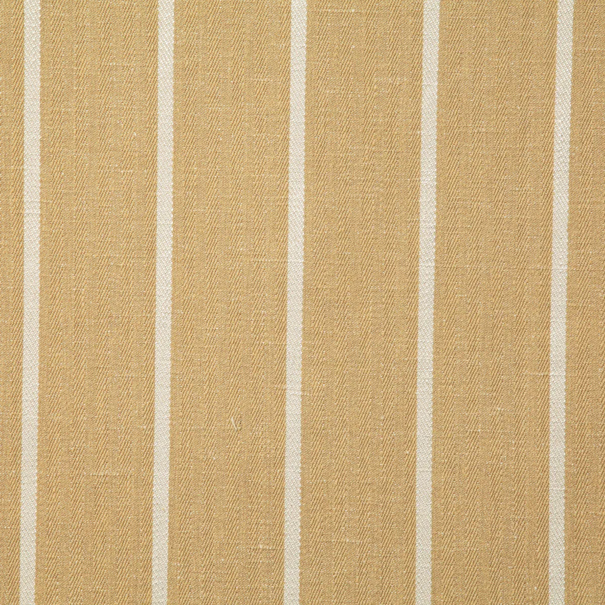 Pindler & Pindler Condon Honey Fabric
