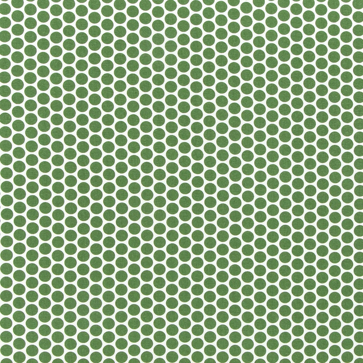11662-premier-prints-paco-pine-canvas-fabric-1.webp