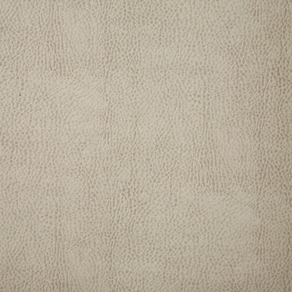 11750-pindler-pindler-buckaroo-beige-fabric-1.webp