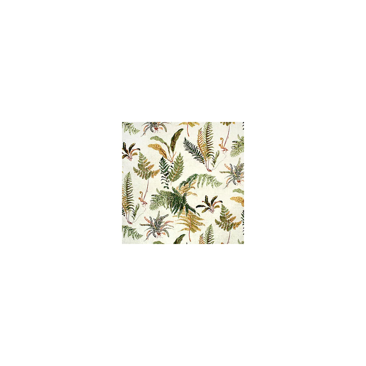 Brunschwig & Fils Les Fougeres Ivory Fabric 1 11826-brunschwig-fils-les-fougeres-ivory-fabric-1.webp