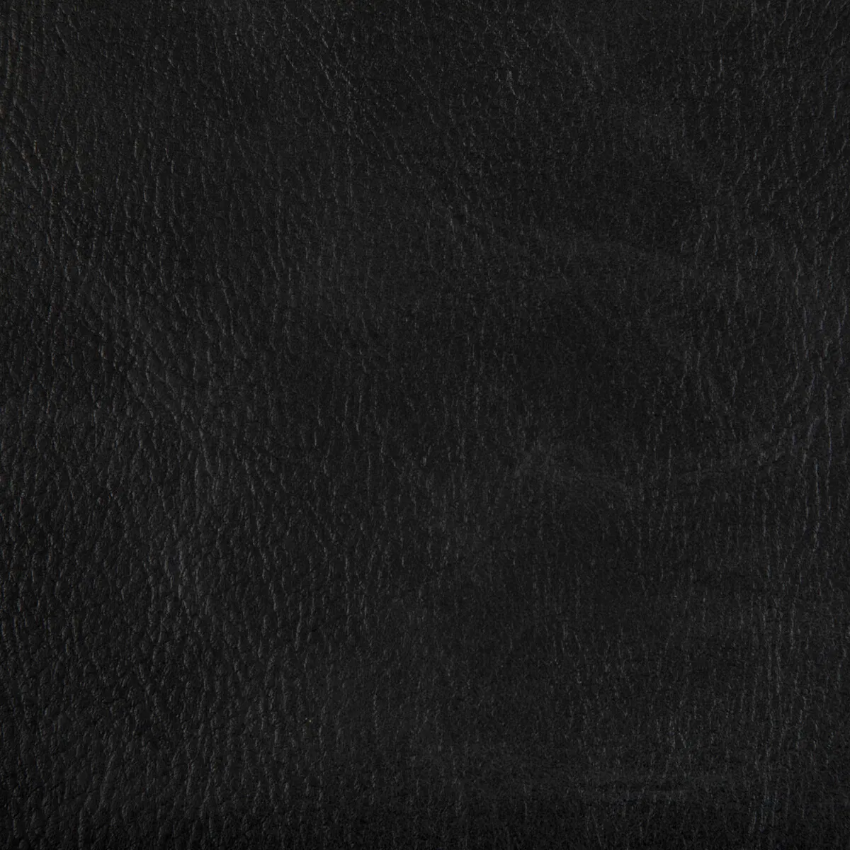 Kravet Toni Stallion Fabric