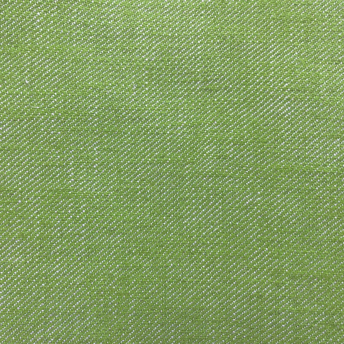GastÃ³n y Daniela Hisa Verde Manzana Fabric