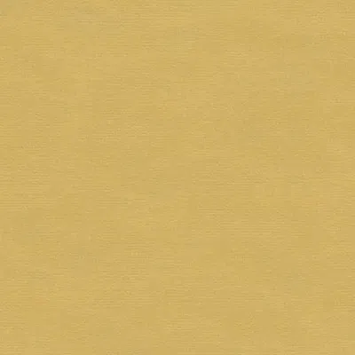 Kravet VERSAILLES.E24303 Fabric