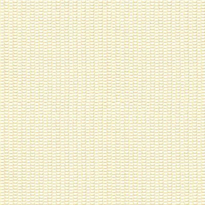 Kravet 9821.101 Integrate Mica Fabric