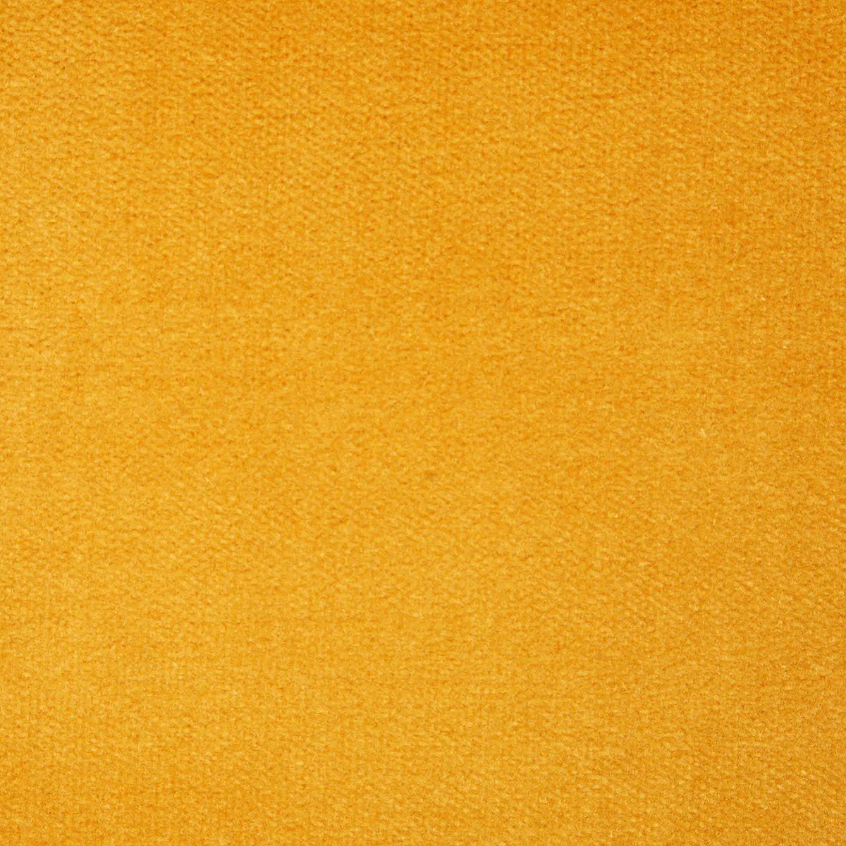 Pindler & Pindler Legacy Butternut Fabric