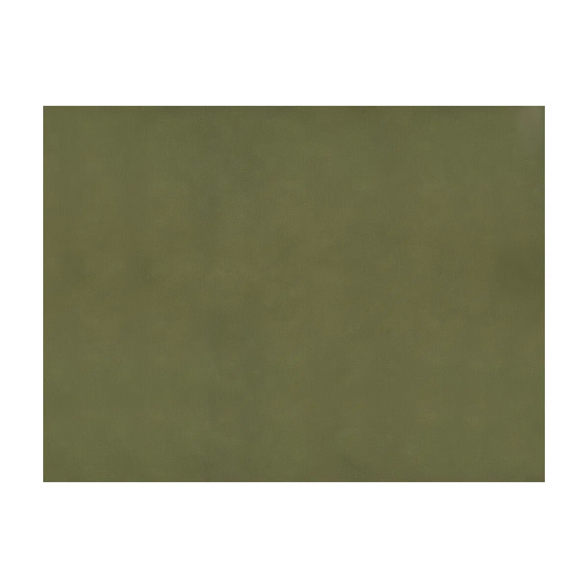 Brunschwig & Fils Sukhothai Olive Fabric 1 12272-brunschwig-fils-sukhothai-olive-fabric-1.webp