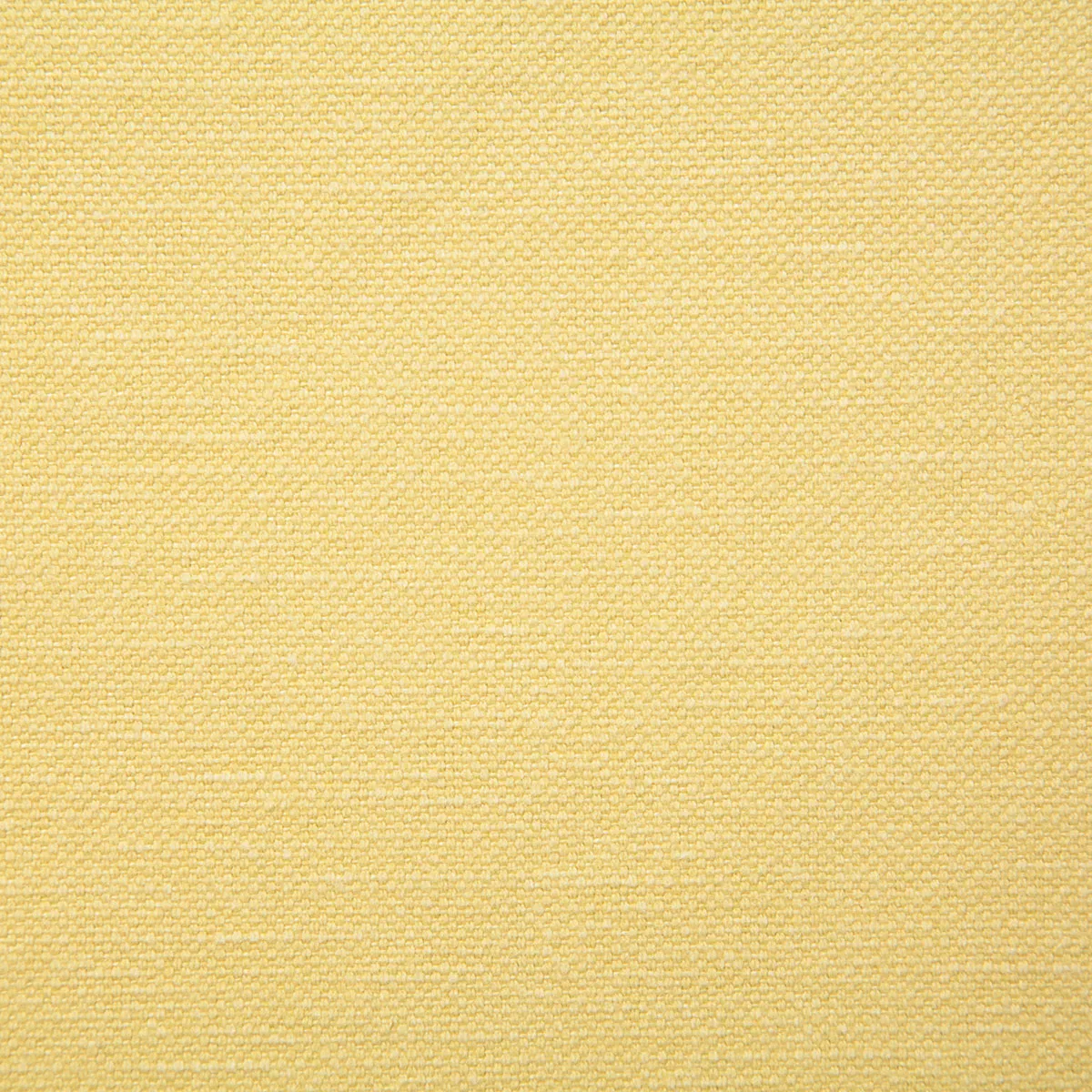 Pindler & Pindler Bronson Butter Fabric