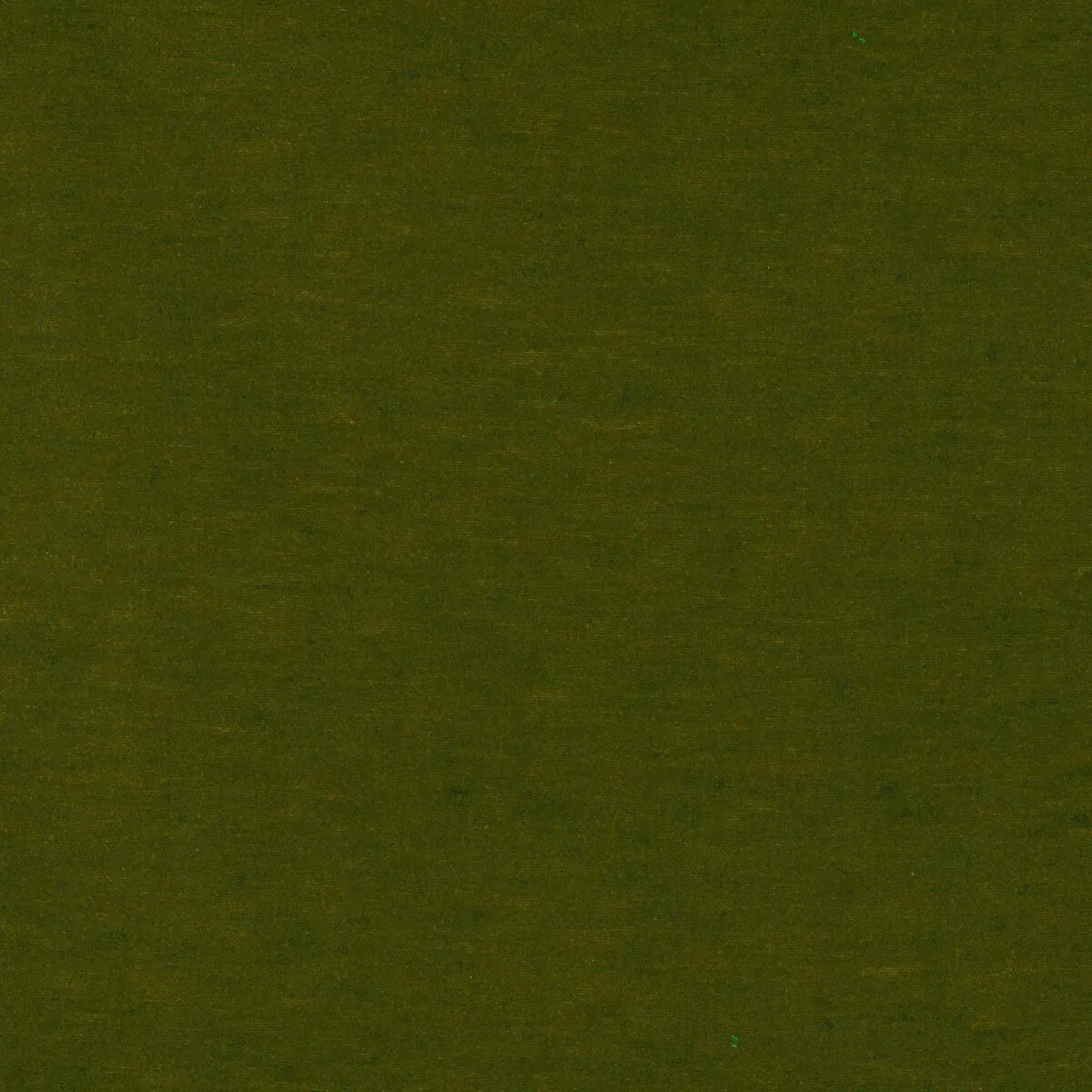 GastÃ³n y Daniela Meres Verde Claro Fabric