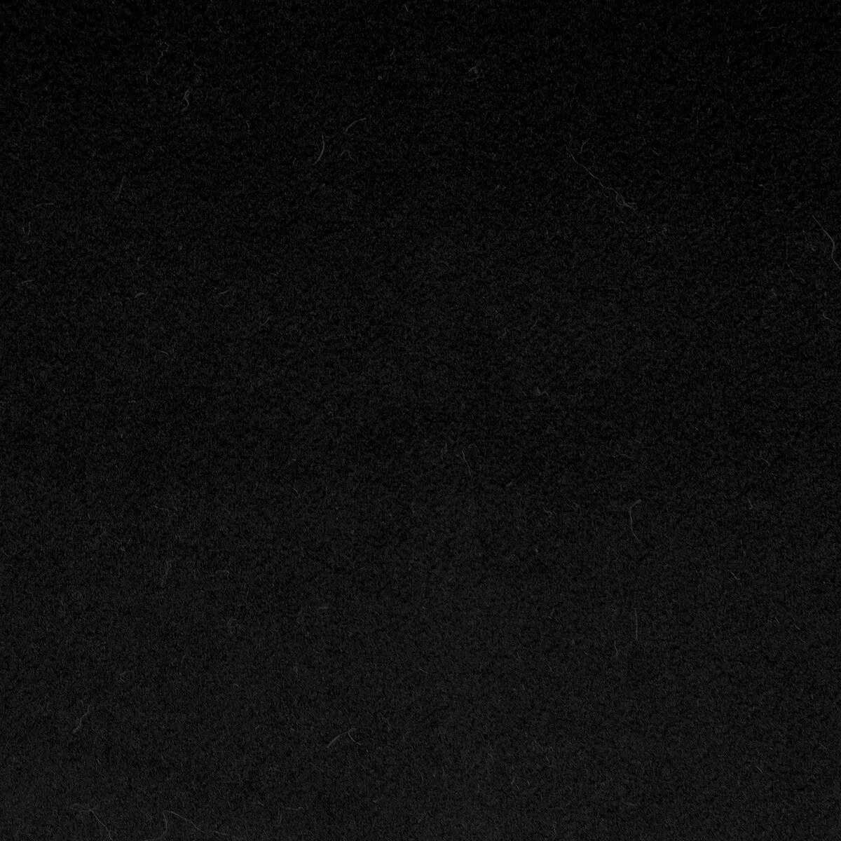 GastÃ³n y Daniela Denver Black Fabric