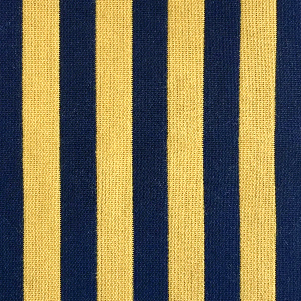 GastÃ³n y Daniela Benjamin Amarillo/Navy Fabric