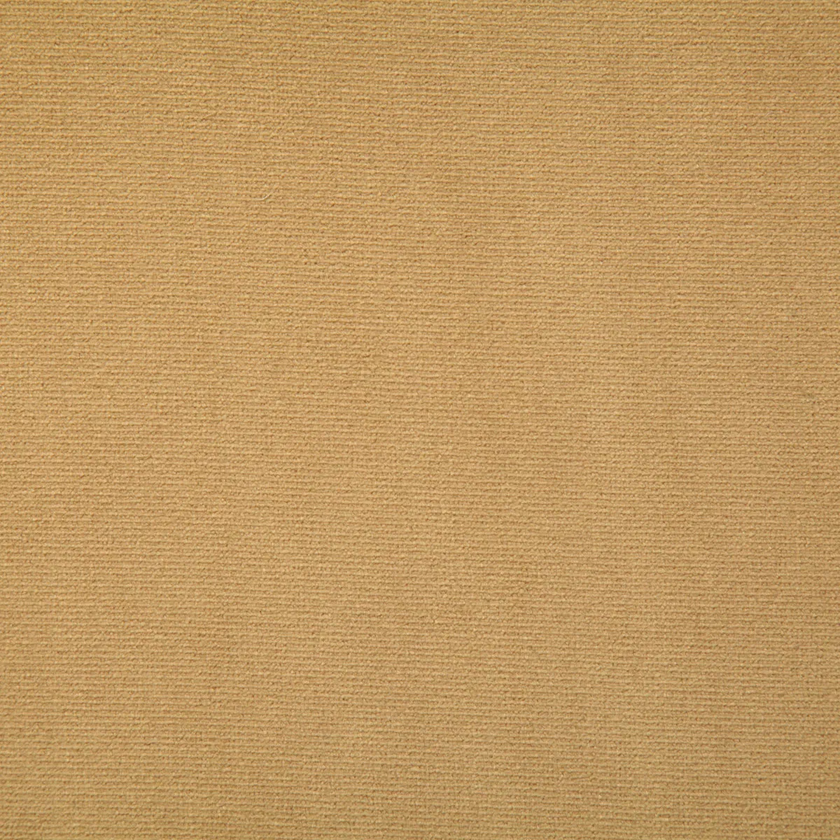 Pindler & Pindler Emerson Golden Fabric