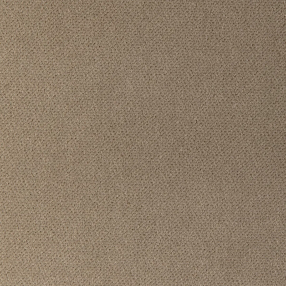 Kravet 36956.106.0 Fabric