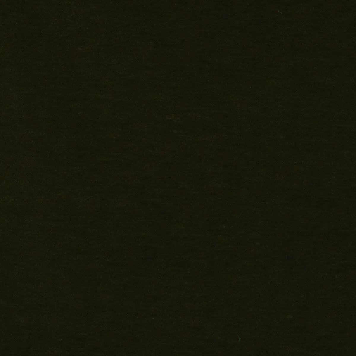 1481-gast-n-y-daniela-meres-verde-kaki-fabric-1.webp