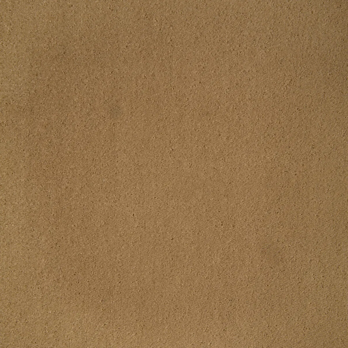 Kravet Fomo Biscuit Fabric
