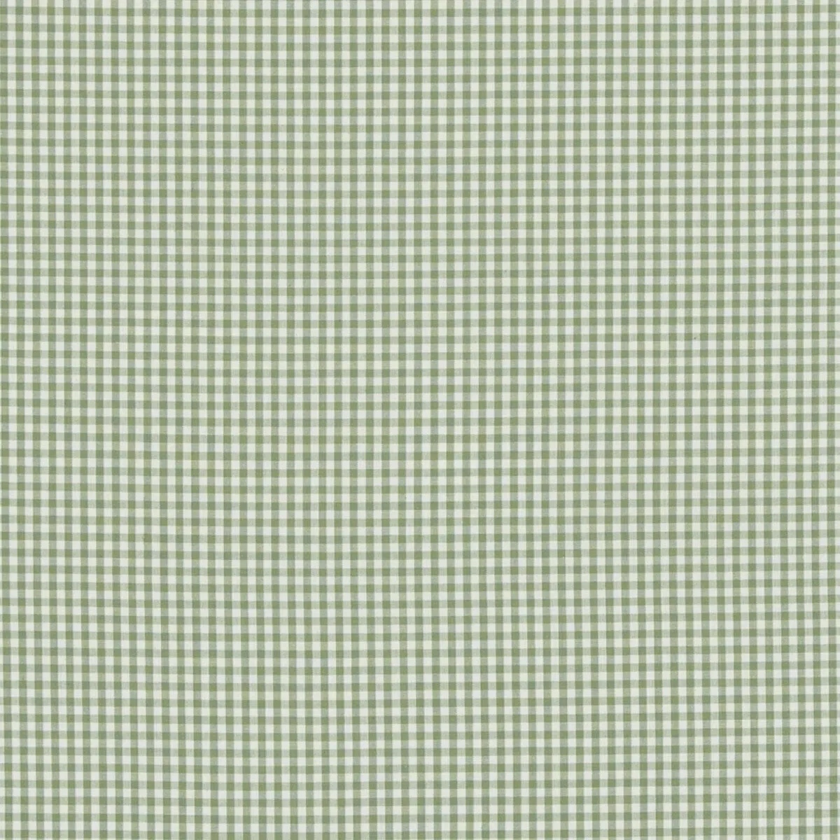 Baker Lifestyle Sherborne Gingham Green Fabric