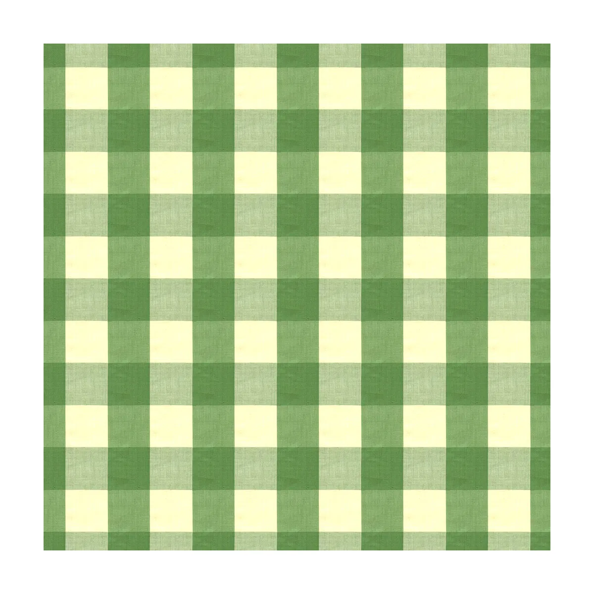 Brunschwig & Fils Exchequer Cotton Check Jade Fabric