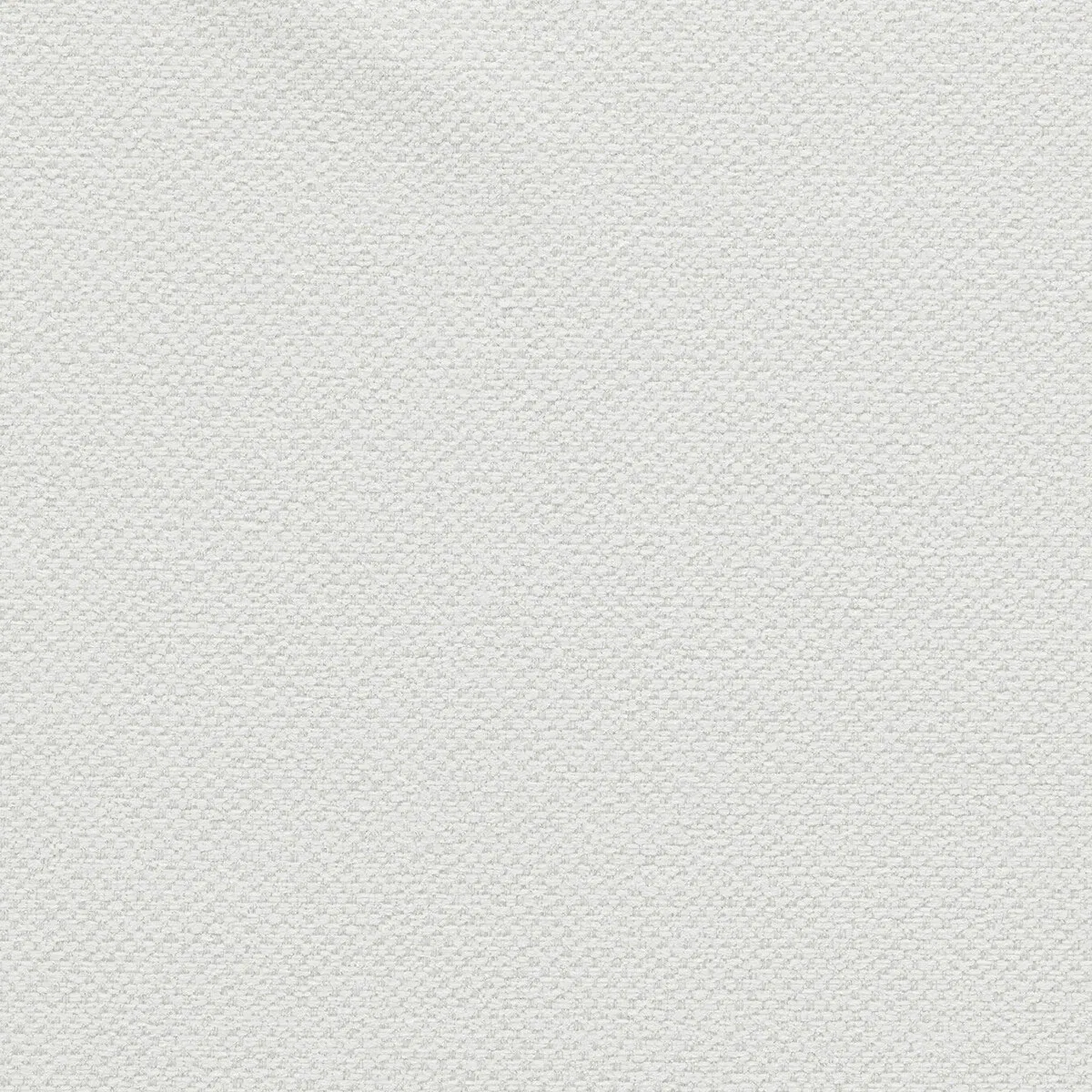 Clarke & Clarke Filum Polar Fabric