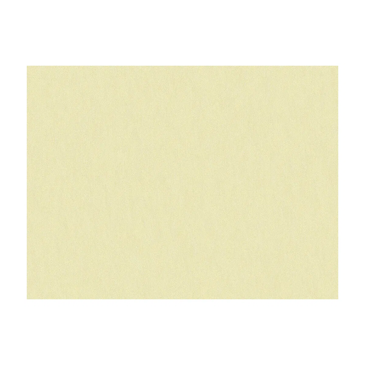 2030-brunschwig-fils-shots-pongee-fabric-1.webp