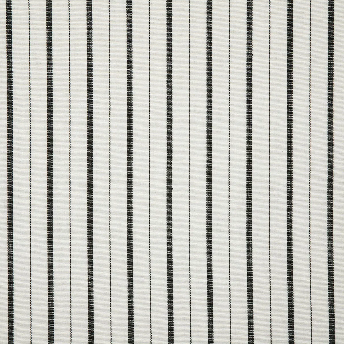 Pindler & Pindler Teagan Domino Fabric