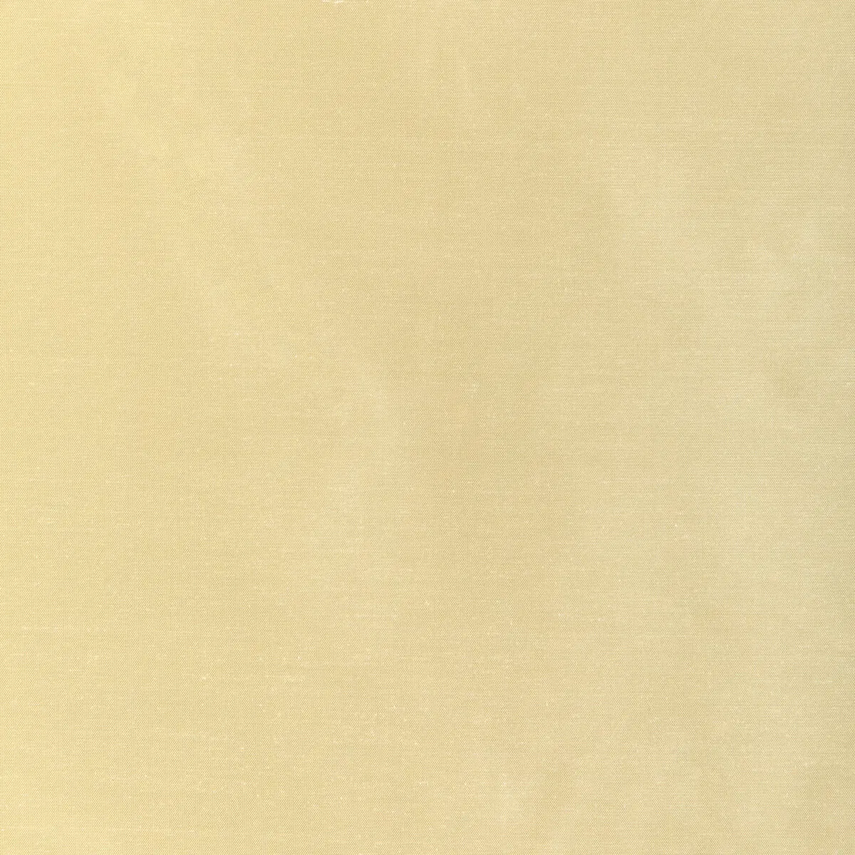 Kravet 4070.4.0 Fabric